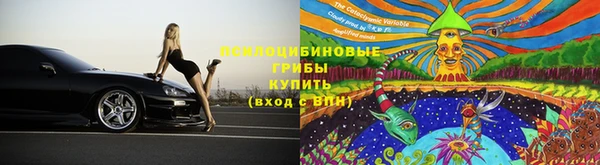 спайс Корсаков