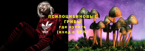 спайс Корсаков