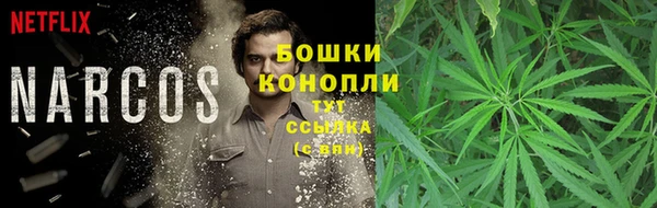 стафф Инта