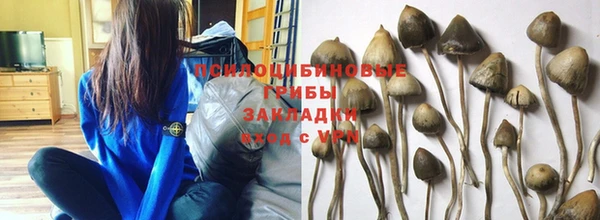 спайс Корсаков