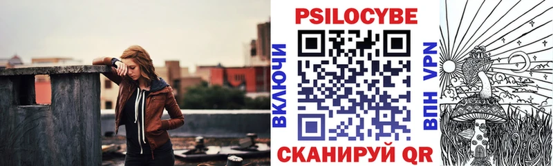 Купить  Боготол  Псилоцибиновые грибы Psilocybe 